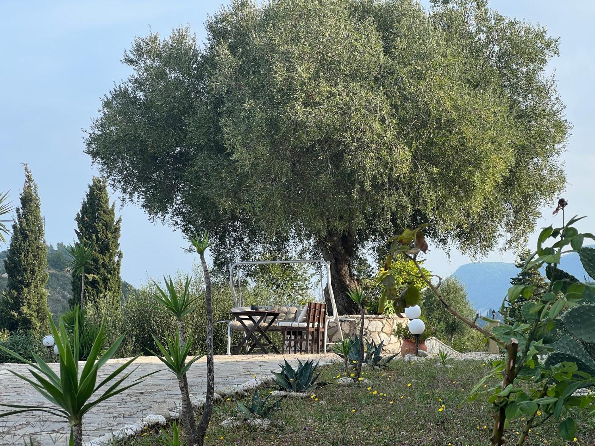 La Casa D' Irene (Adults Only) Hotell Áyios Nikítas Exteriör bild